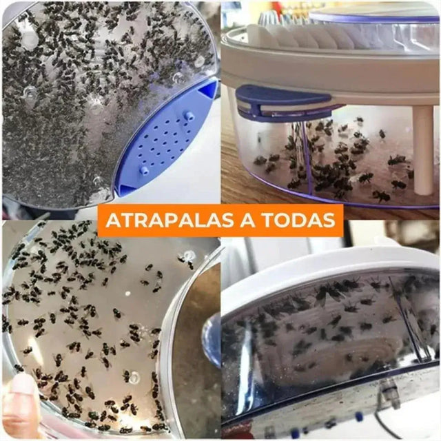 Trampa Atrapamoscas