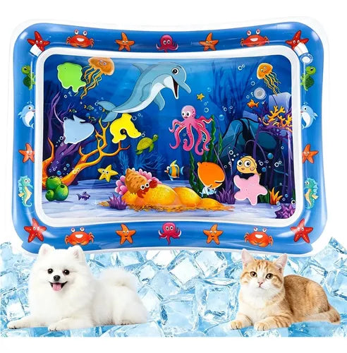 AquaPaws — Tapete Sensorial de Agua