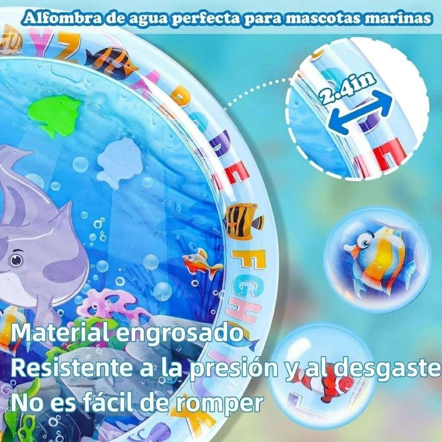 AquaPaws
