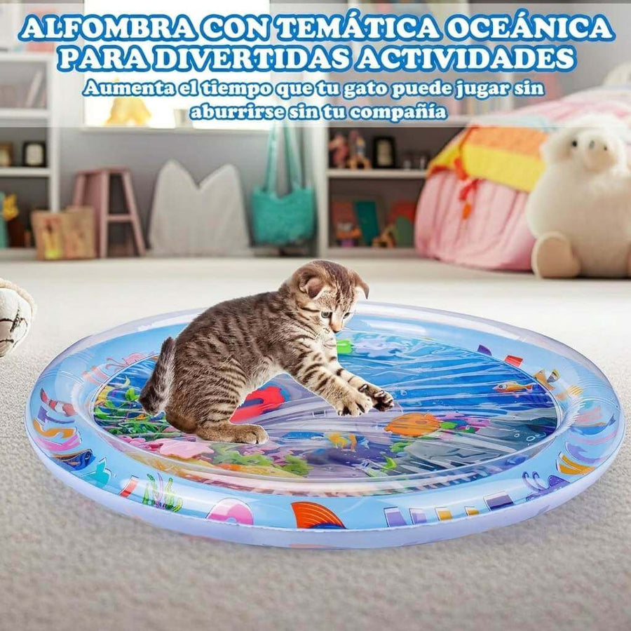 AquaPaws