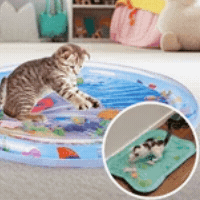 Gato jugando