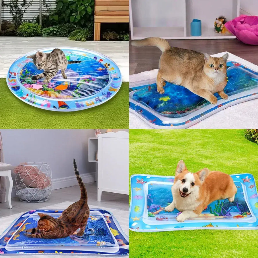 AquaPaws