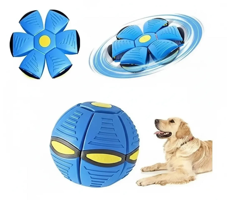 Diversión doble: niños y mascotas