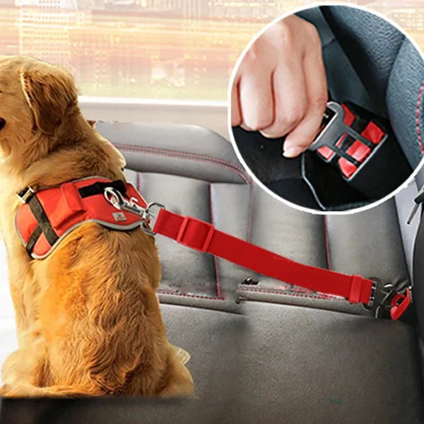 Cinturón De Seguridad Para Perro