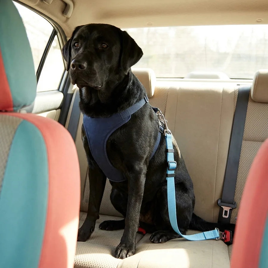 Cinturón De Seguridad Para Perro