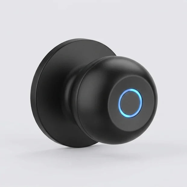 1x Chapa con sensor de huella