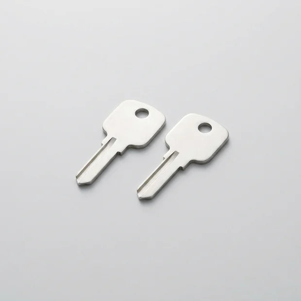 1x Set de llaves de respaldo