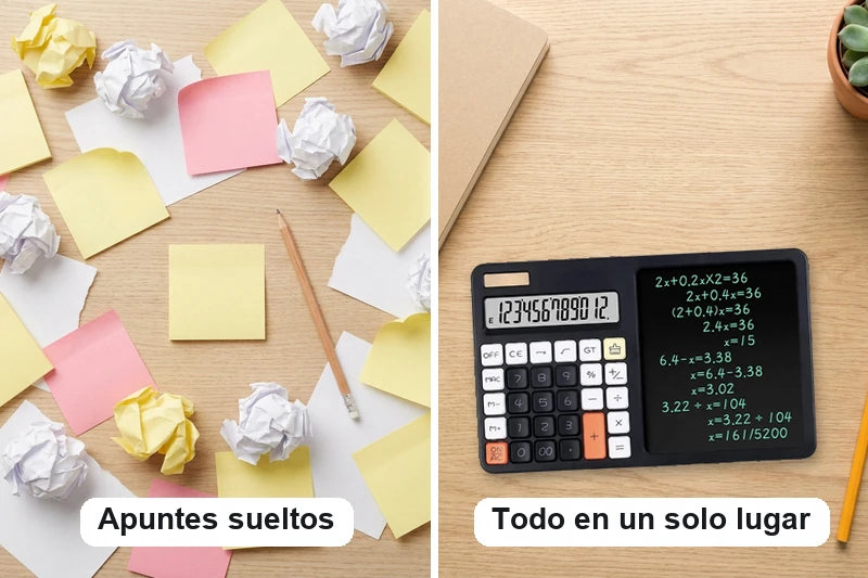 Tus apuntes en un solo lugar