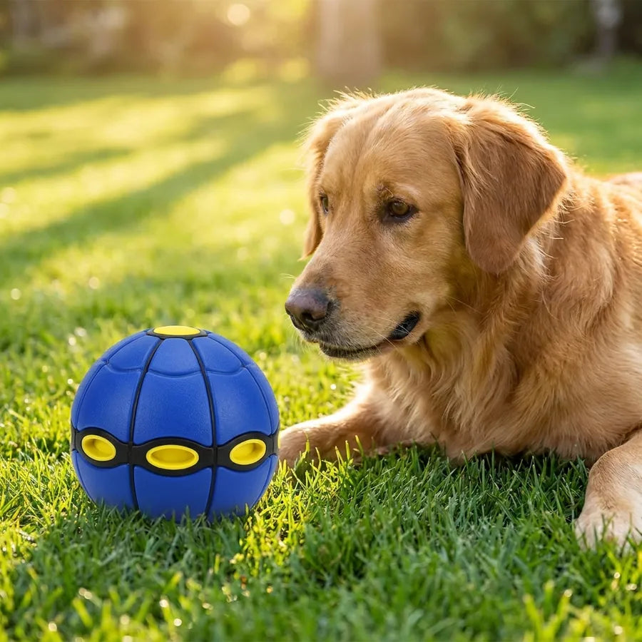 Pelota Balón Frisby Mágico Volador